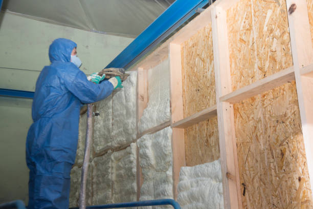 Best Commercial Insulation Contractor  in Mount Carmel, IL